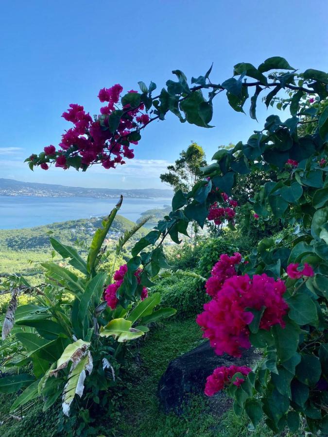 Bay View Martinique Lägenhet Les Anses-d'Arlets Exteriör bild